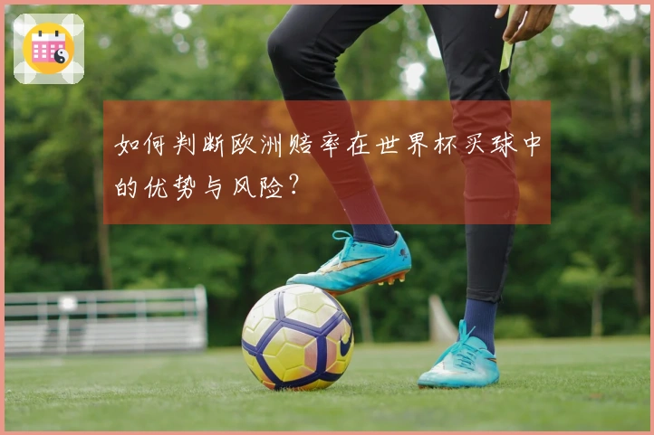 如何判断欧洲赔率在世界杯买球中的优势与风险？