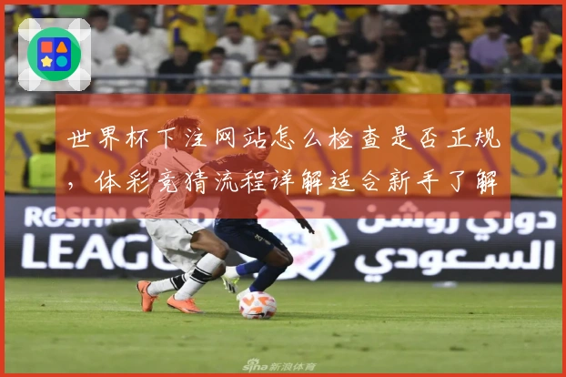 世界杯下注网站怎么检查是否正规，体彩竞猜流程详解适合新手了解
