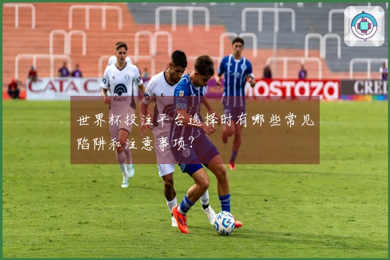 世界杯投注平台选择时有哪些常见陷阱和注意事项？