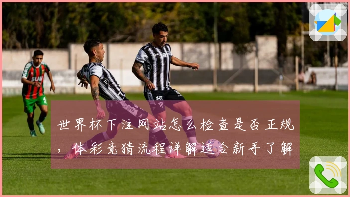 世界杯下注网站怎么检查是否正规，体彩竞猜流程详解适合新手了解