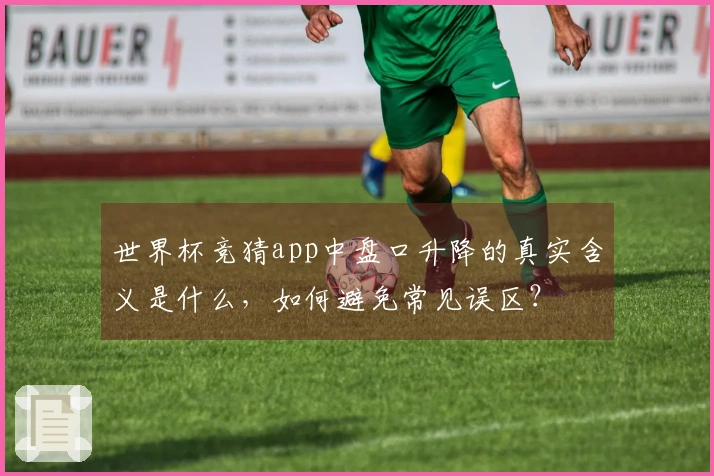世界杯竞猜app中盘口升降的真实含义是什么，如何避免常见误区？