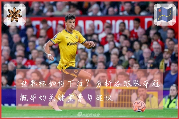 世界杯如何下注？分析各球队夺冠概率的关键要素与建议