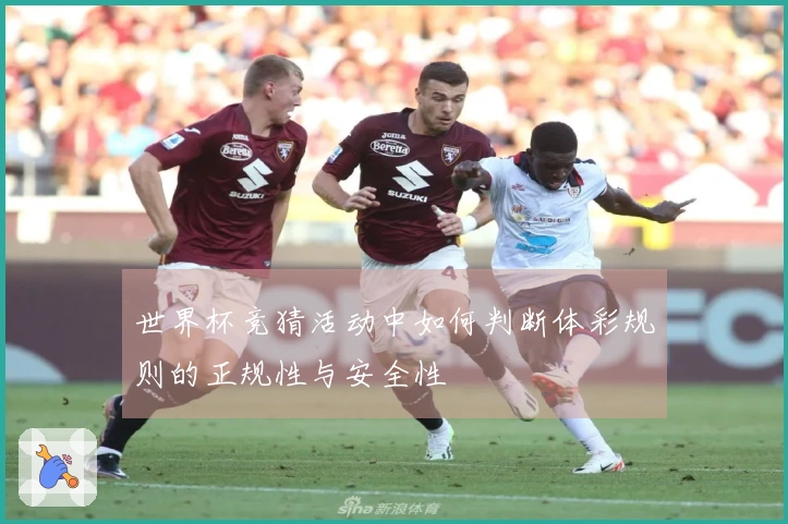 世界杯竞猜活动中如何判断体彩规则的正规性与安全性