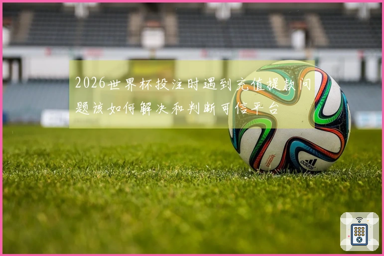 2026世界杯投注时遇到充值提款问题该如何解决和判断可信平台