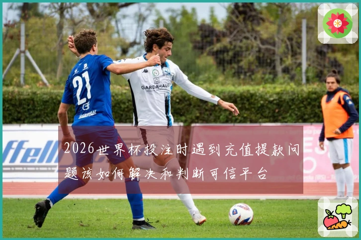 2026世界杯投注时遇到充值提款问题该如何解决和判断可信平台